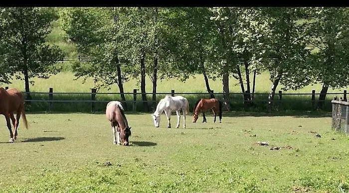 Il Monolocale Apartmán *